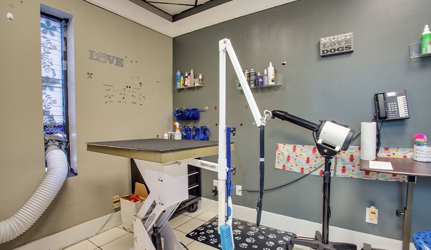 completecare veterinary center grooming room