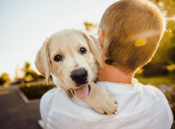 Why Pets Are Beneficial For Your Mental Health